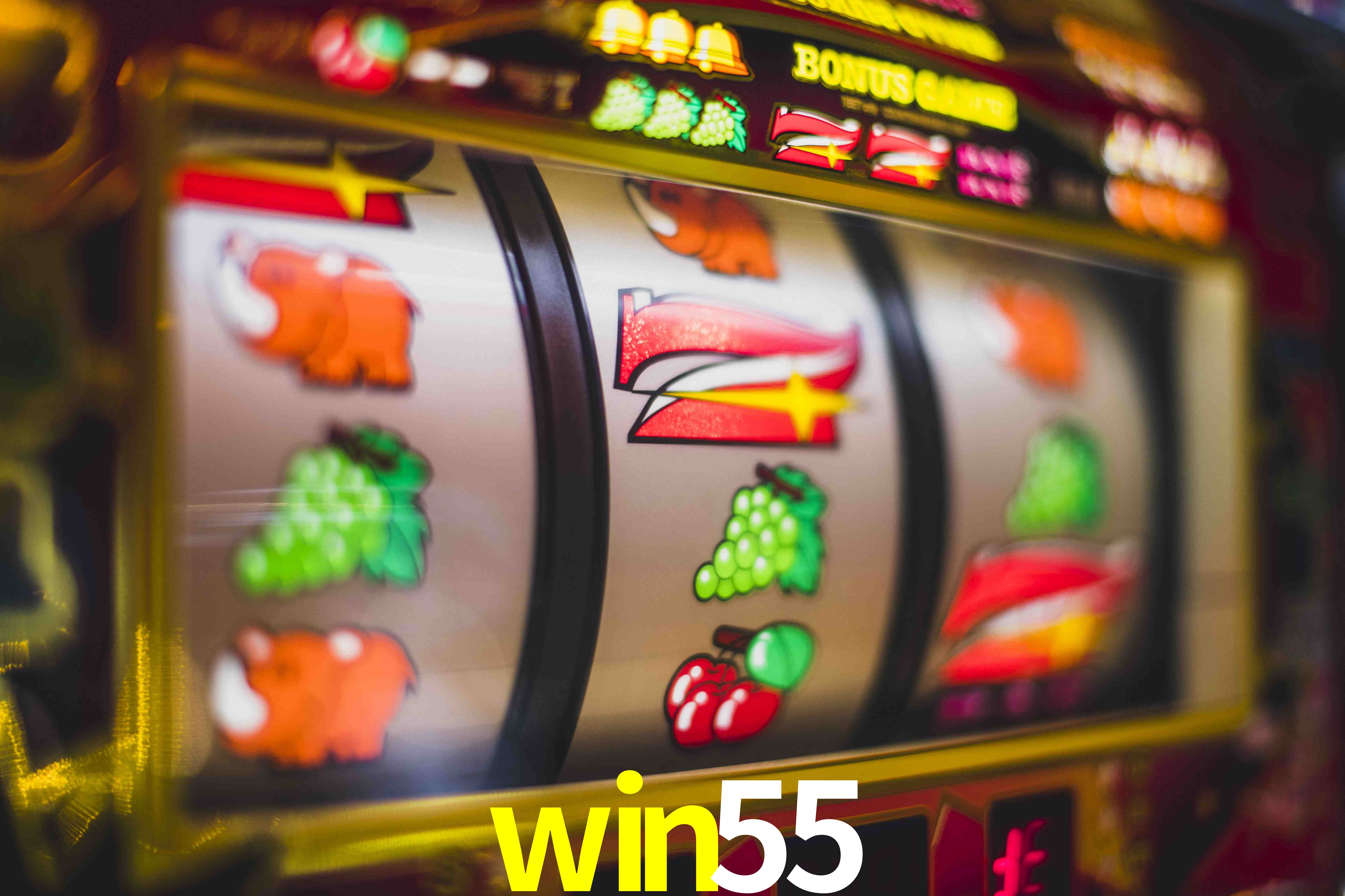 Sports Statistics win55